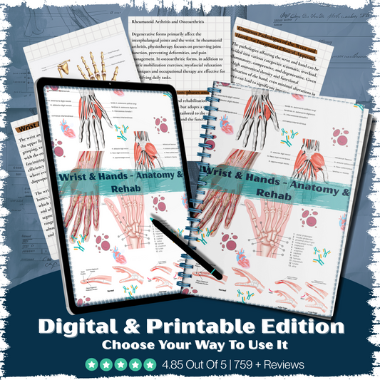 Wrist & Hands – Anatomy & Rehab