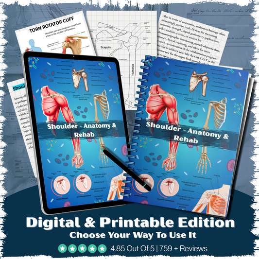 Shoulder – Anatomy & Rehab